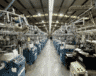 Rows of circular knitting machines on a knitting floor