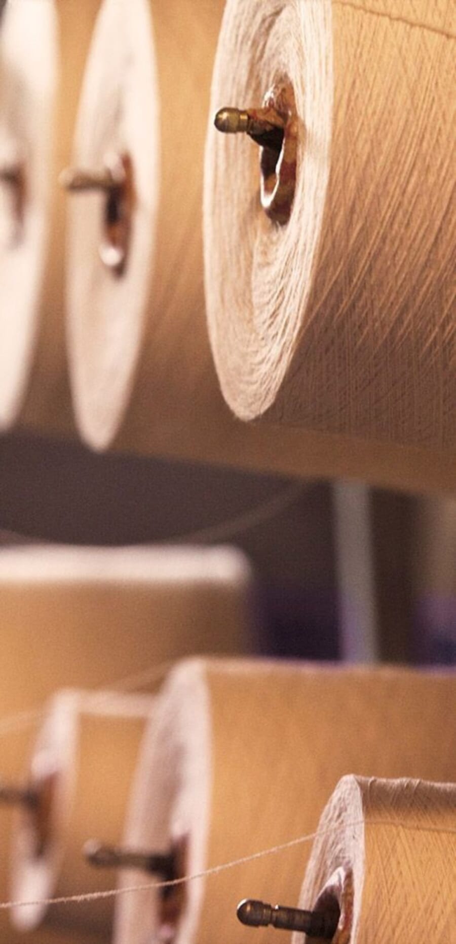 Close view of beige yarn cones on spindles