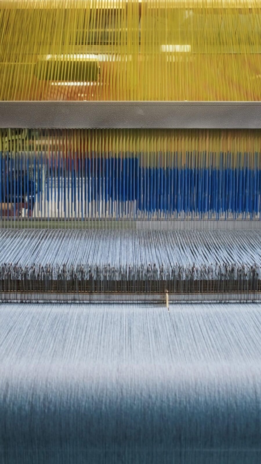 Close view of colored warp threads on a loom
